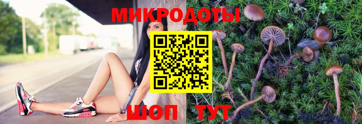 Галлюциногенные грибы GOLDEN TEACHER Чебаркуль