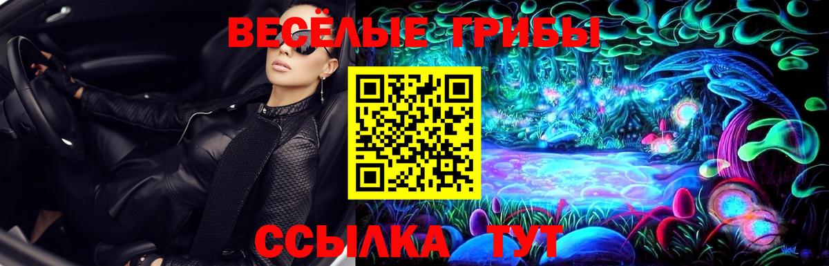 Галлюциногенные грибы мицелий  Псилоцибиновые грибы GOLDEN TEACHER  где купить   Вход с VPN  Чебаркуль 